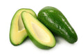 Fuerte Avocado Tree - 1 ft Grafted Plant in 6" Pot - Avocado Tree - Persea americana