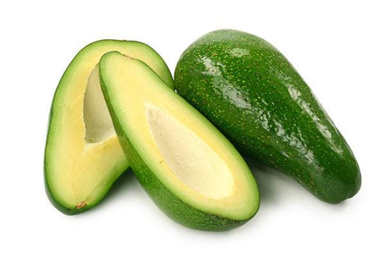 Fuerte Avocado Tree - Grafted 3-4 Feet Tall - Strong Trunk - Persea americana