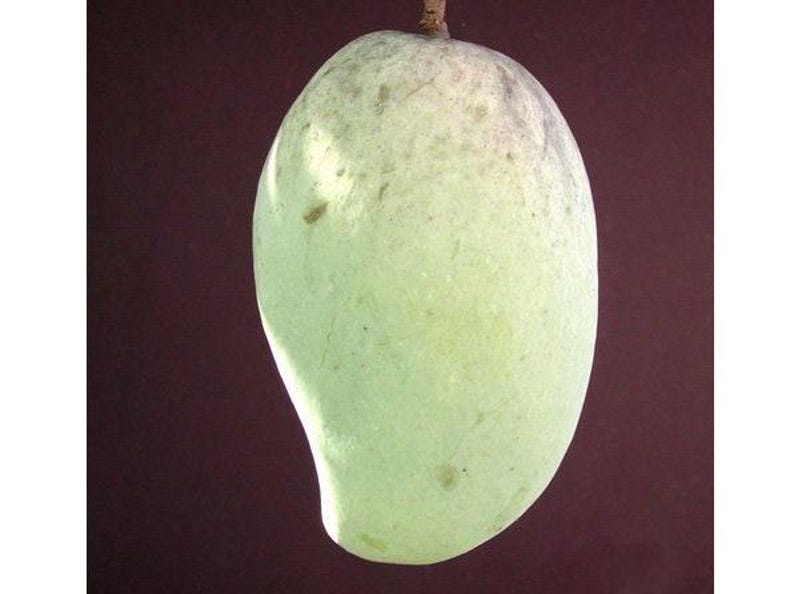 Pim Saen Mun Mango Tree - 1ft Grafted Live Plant - Mature Fruit Producer - Mangifera indica - Ships in 3gal Pot