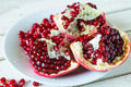 Wonderful Pomegranate Tree - 3 Gal Pot - Juicy Red Fruit - Punica granatum - Drought Tolerant Ornamental Shrub