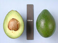 Grafted Avocado Tree - 3 Gal Pot - Booth 8 Variety - Ideal for Gardens - Persea americana
