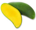Grafted Keo Savoy Mango Tree - 1 ft Tall Live Plant - Firm Yellow Flesh - Mangifera indica