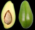 Doni Avocado Tree - Grafted 3 Gal Pot - Florida's First Quality Avocado - Persea americana