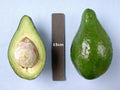 Lula Avocado Tree - 2 Feet Tall Grafted - High Oil Content - Persea americana - Ships in 3Gal Pot