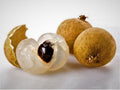 Biew Kiew Longan Tree - 2 Feet Tall Live Plant in 3 Gal Pot - Dimocarpus longan 'Biew Kiew' - Sweet Tropical Fruit Variety