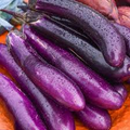 50 Seeds Eggplant Long Purple (Solanum melongena) - Non-GMO, Heirloom, Slim, Long, Easy to Grow, Perfect for Garden, Organic Planting