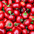 Large Hot Cherry Pepper Seeds – 250mg for Planting, Heirloom Variety, Mild-Heat, High Yield, Great for Pickling, Stuffing & Salsas