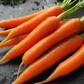 300 Danvers Carrot Seeds – Daucus carota – Sweet, Crisp, Heirloom Variety, Deep Orange Roots, Non-GMO, Ideal for Cooking & Snacking