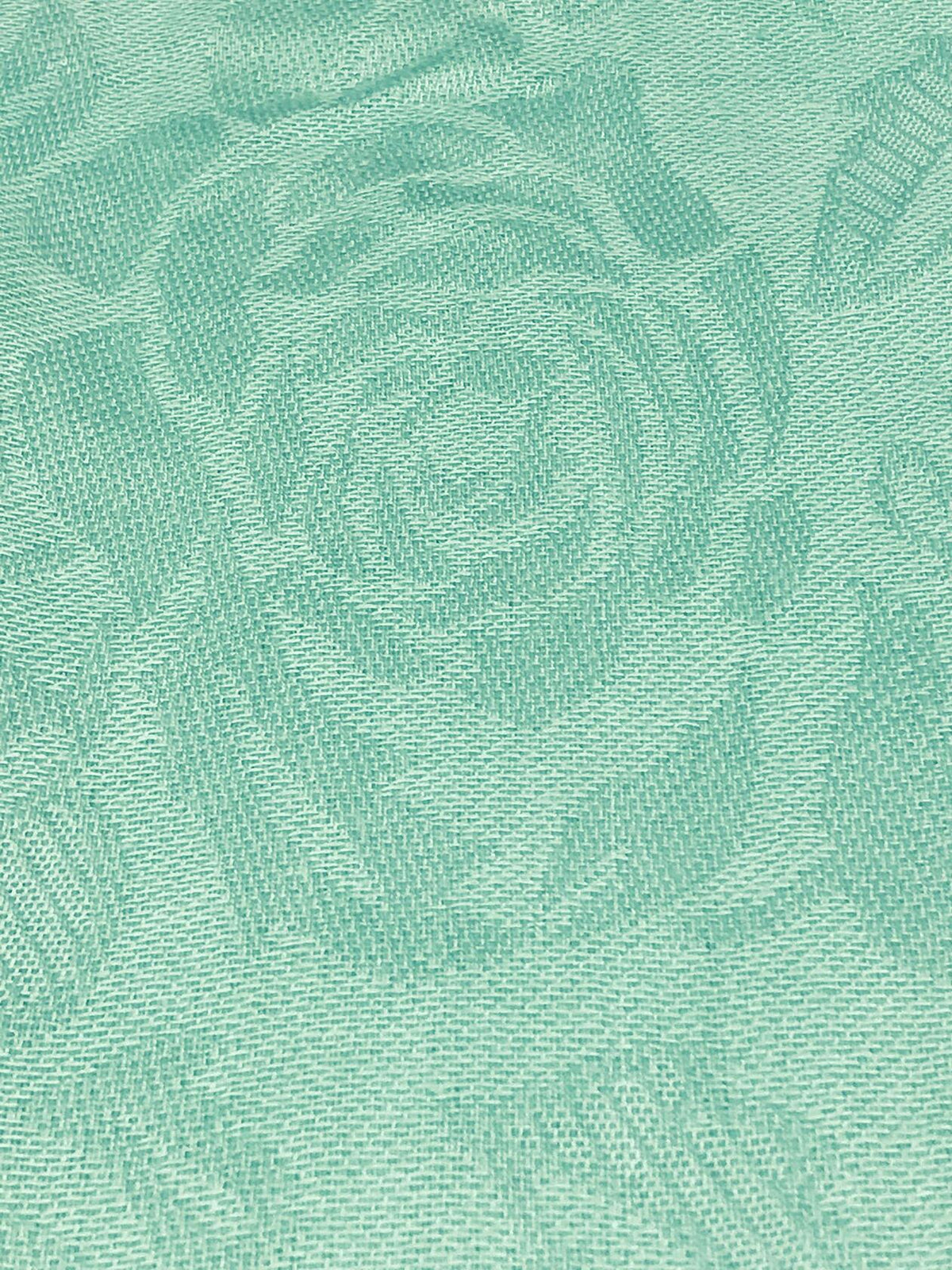 Elu Pashmina Shawl Large Flower Textured Sea Green Soft Wrap 78x28