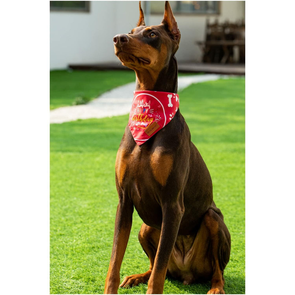 Big Sister Dog Bandana Double Layer Fabric Green Large Size L