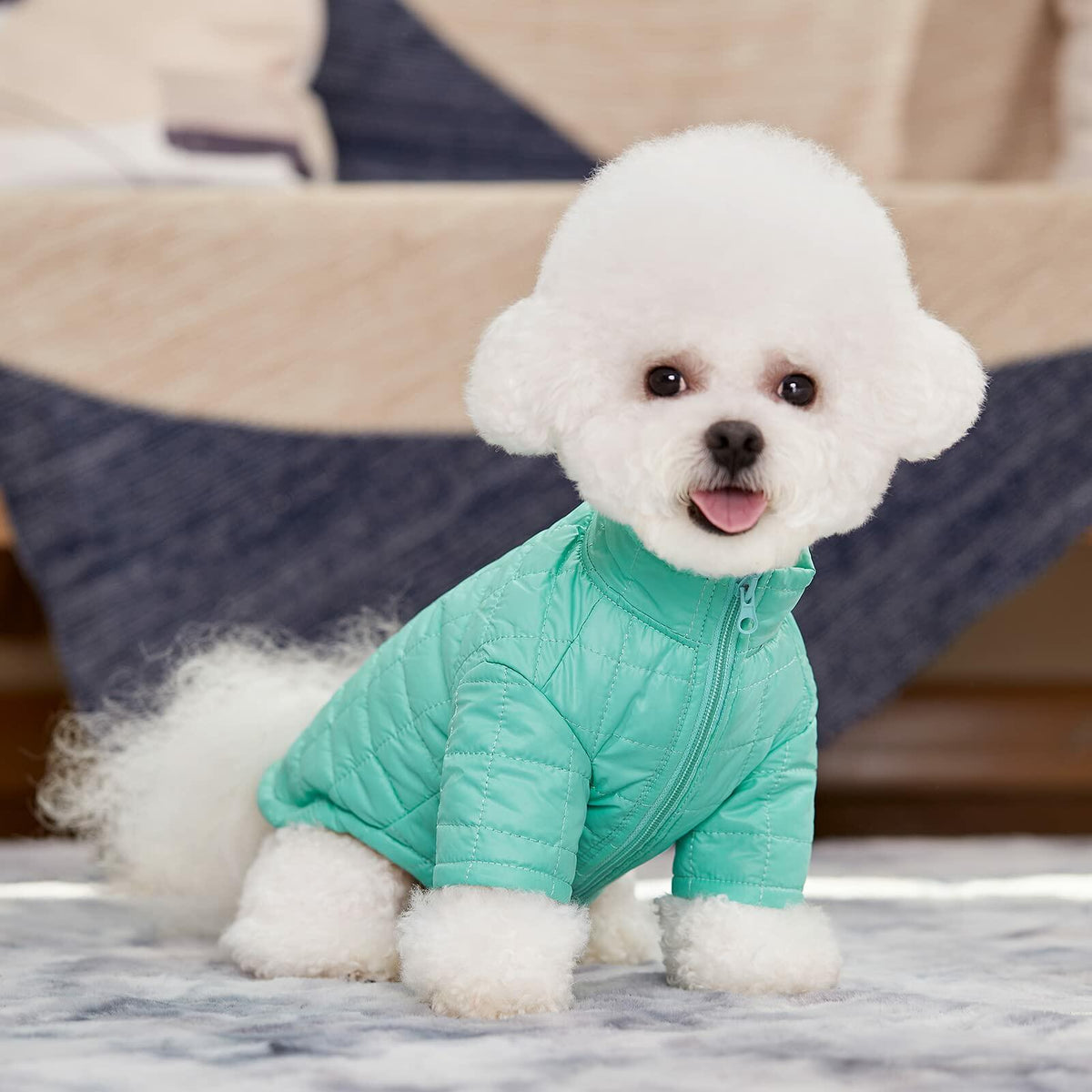 Miaododo Winter Dog Coat Windproof Cotton-Padded High Collar Size L- Black