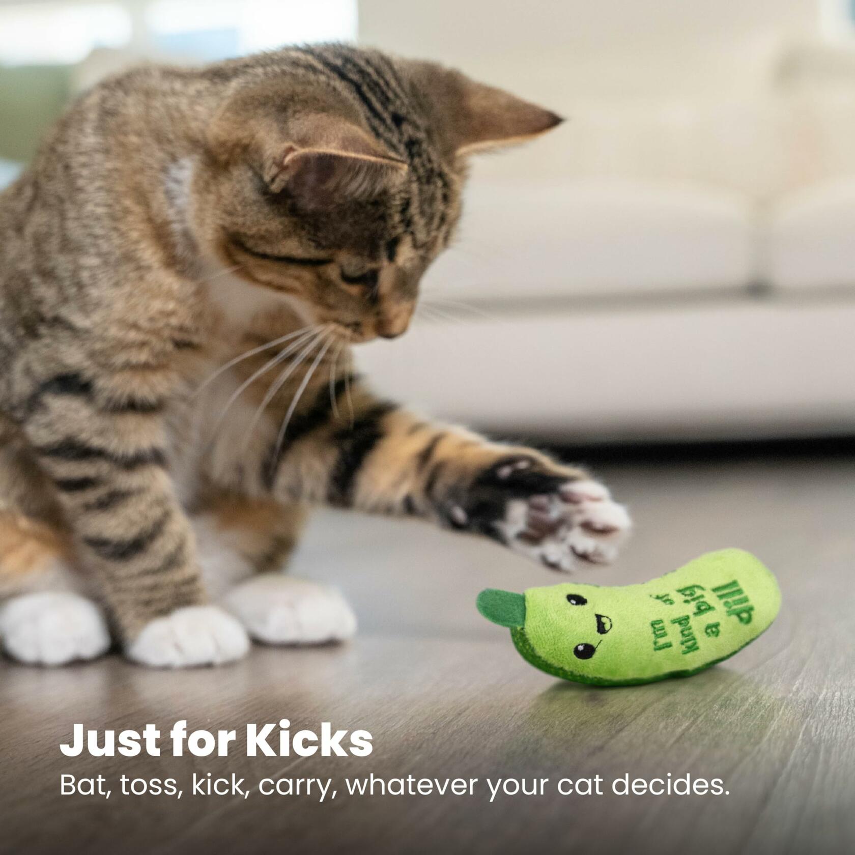 Catstages Crunchy Pickle Kicker Cat Toy with Catnip Dental Mesh Green