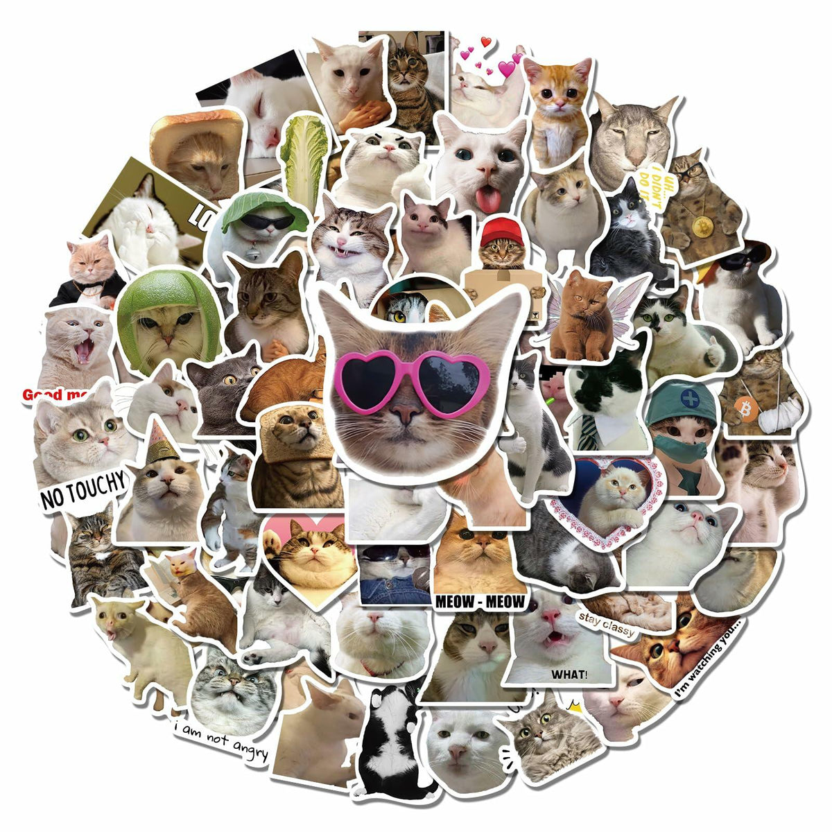 GizmoBox 100pcs Cute Cat Meme Stickers Waterproof Vinyl Decals for Laptop Kids