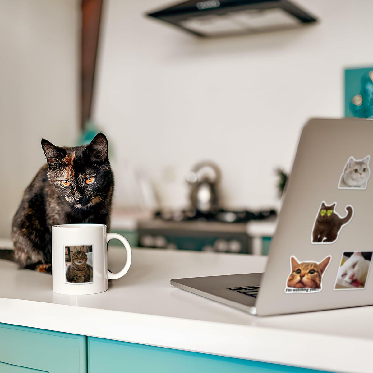 GizmoBox 100pcs Cute Cat Meme Stickers Waterproof Vinyl Decals for Laptop Kids