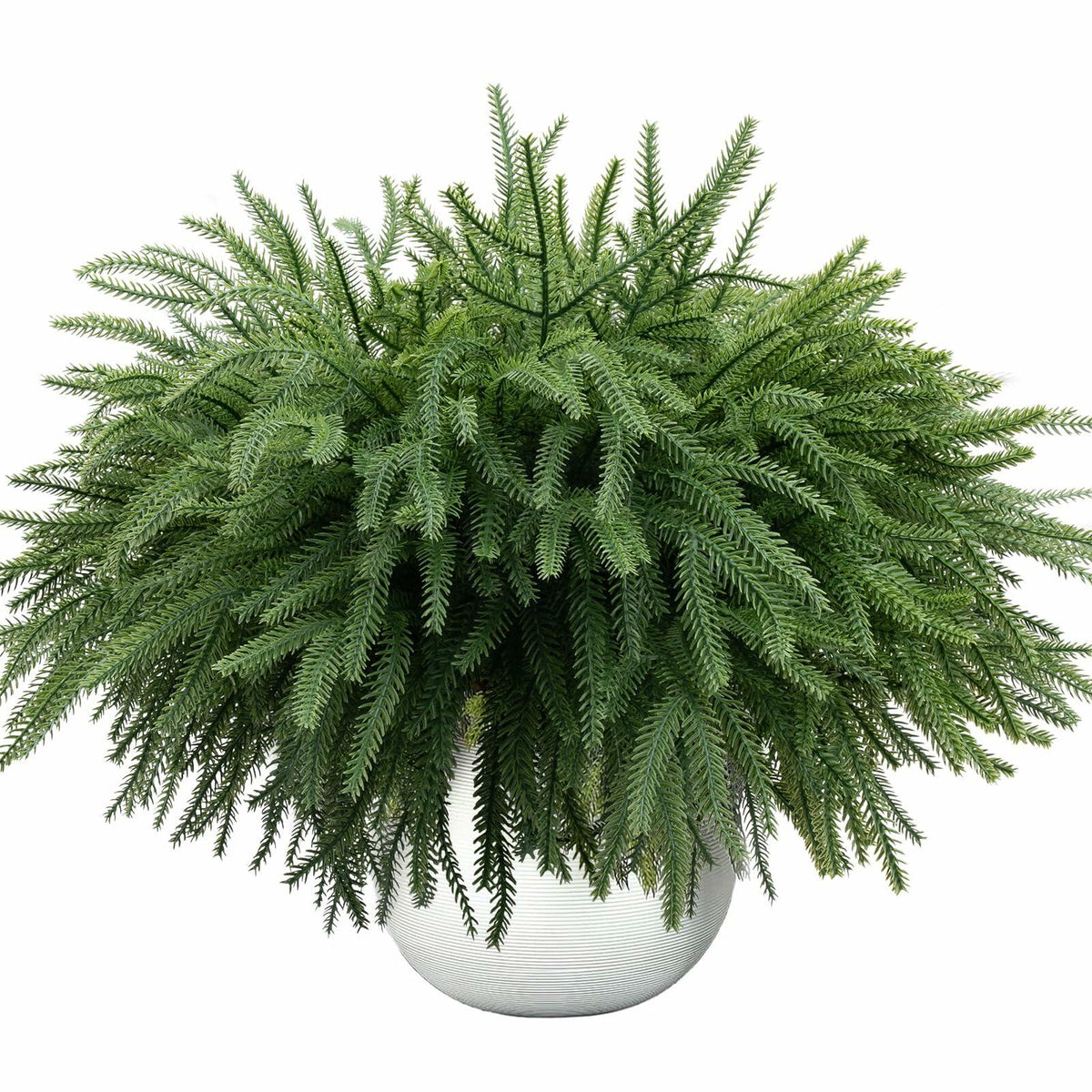 Dushle Norfolk Pine Branches 18in Artificial Greenery Stems 6 Count Green