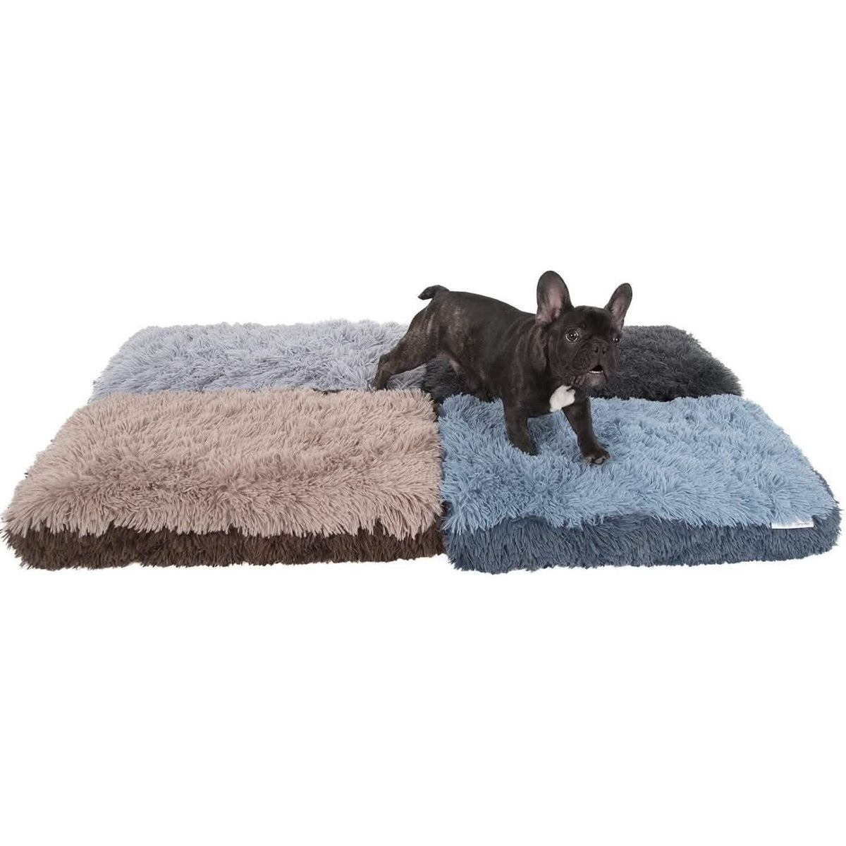 Paws & Pals Bed for Pets