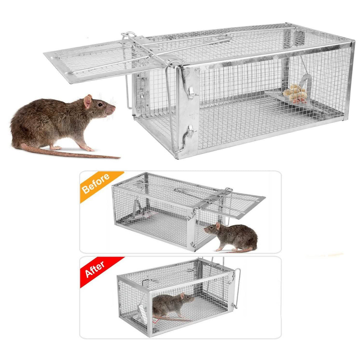 Rat Trap Cage Humane Live Rodent