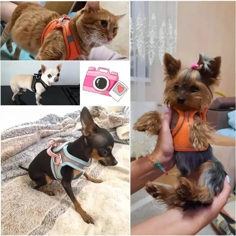 Reflective Dogs Harness with Leash Adjustable Harness Vest Breathable Collars