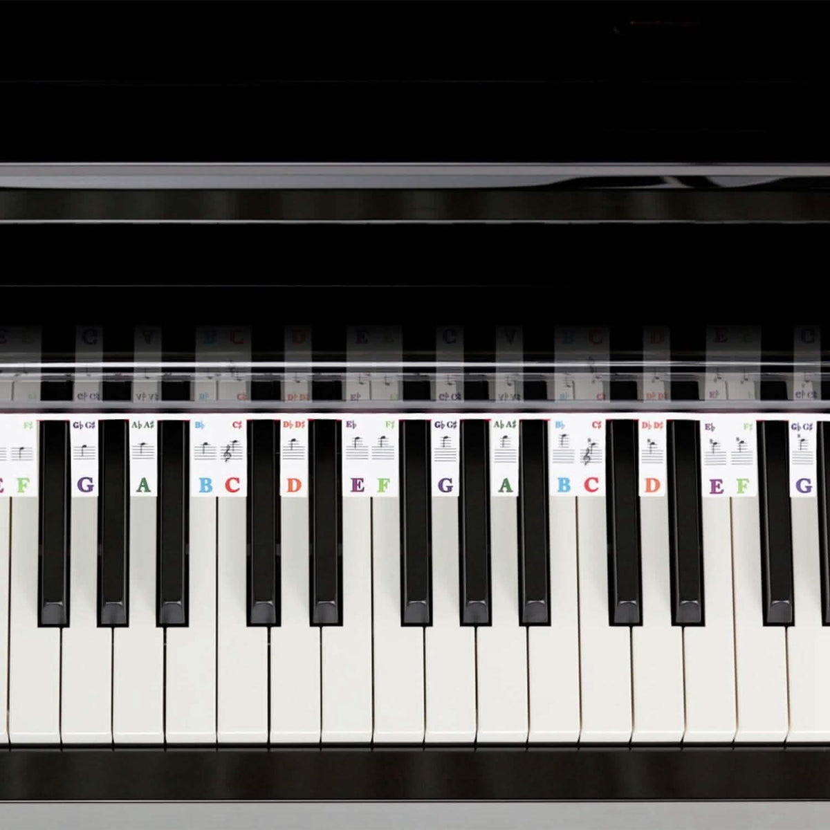 Removable PVC Piano Keyboard Stickers