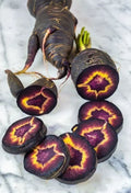 Black Nebula Carrot Seeds - 100+ Heirloom Organic Non-GMO Fresh Seeds - RARE Daucus carota