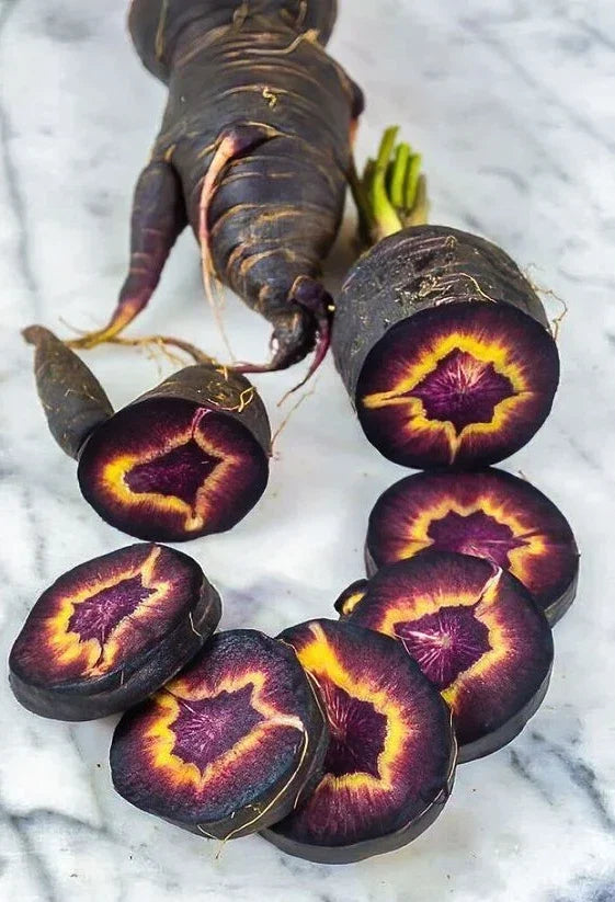 Black Nebula Carrot Seeds - 100+ Heirloom Organic Non-GMO Fresh Seeds - RARE Daucus carota