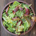 Mesclun Mix Lettuce Seeds - 1000+ Count - Non-GMO Heirloom - Ideal for 2025 Planting - USA Grown