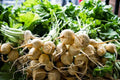 White Albino Beet Seeds, Holland Heirloom, NON-GMO, Variety Sizes, Organic Vegetable Seeds