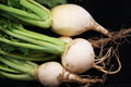 Turnip Seeds - White Egg Variety - Fresh Seed for Planting - Brassica rapa