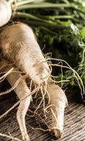 Hollow Crown Parsnip Seeds - 5,000 NON-GMO Vegetable Garden Seeds (1,000 Seeds) - Pastinaca sativa