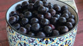 Sand Cherry Seeds - 10+ Pack for Garden Planting - Prunus besseyi - USA Grown, Fast Shipping