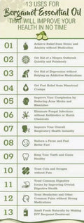 Wild Bergamot Seeds - 300 Bee Balm Seeds - Monarda fistulosa - Medicinal Herb for Gardens