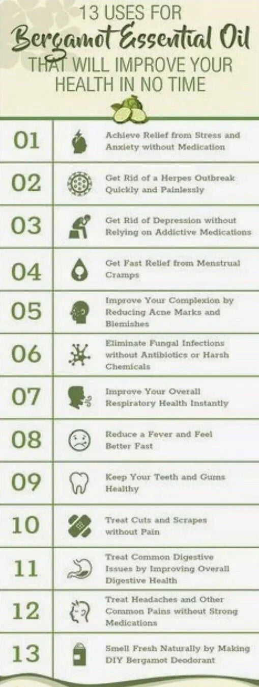 Wild Bergamot Seeds - 300 Bee Balm Seeds - Monarda fistulosa - Medicinal Herb for Gardens
