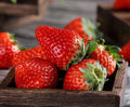 Red Strawberry Seeds - 100+ Pack - Big Flesh Fruit - Perennial - Container Garden - USA