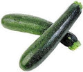 Squash Seeds Mix Garden Collection - Heirloom 5 Top Varieties - Non-GMO Vegetable Seeds for Home Gardening
