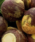 Rutabaga Seeds 2,000 Count American Purple Top Non-GMO Brassica napus