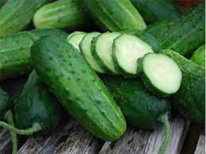 Premium Heirloom Seeds - Boston Pickling Cucumber - Popular Variety for Home Gardens - Cucumis sativus