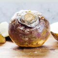 American Purple Top Rutabaga Seeds - Non-GMO Brassica napus - 2000 Count - Heirloom Vegetable Garden Seeds