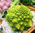 Romanesco Broccoli Seeds - 1000+ Count - Non-GMO Heirloom Organic - Brassica oleracea