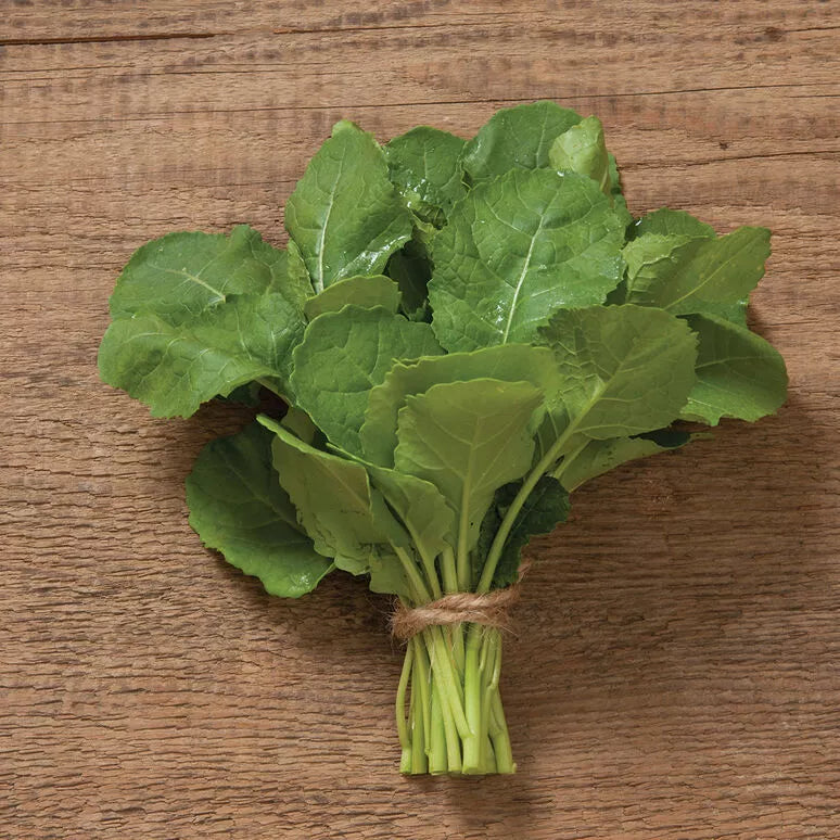Ethiopian Kale Seeds - 1,000 Non-GMO Heirloom Seeds - Brassica Carinata - Free Shipping