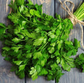 Flat Leafed Parsley Seeds - 75 Day Harvest - Petroselinum crispum - Heirloom Culinary Herb for Gardening
