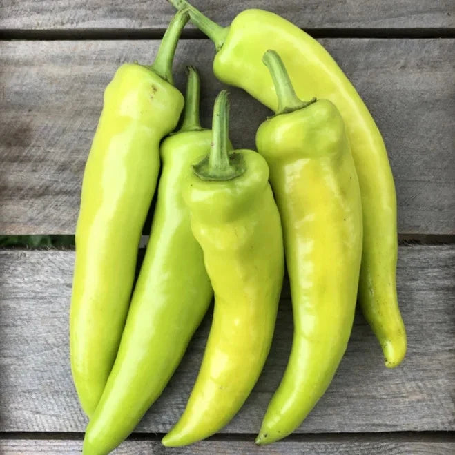 Hungarian Hot Wax Pepper Seeds - 100+ Count - 15,000 Scoville - Ideal for 2025 Planting - Capsicum annuum