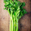 Utah Celery Seeds - 3000 Non-GMO Seeds - Apium graveolens - USA Seller