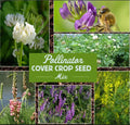 Landscaper's Pack Wildflower Seeds Bulk Pollinator Cover Crop 3600 Seeds - Ground Cover Blend for Bees and Butterflies