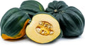 Organic Acorn Winter Squash Seeds - 10 Pack - Heirloom Variety - Cucurbita pepo - USA Grown, Free Shipping