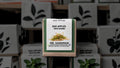 Seed Bombs - MR. SANDMAN™ Variety for Erosion Control in Arid Zones & Deserts - Bad Apples