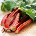 Victoria Red Rhubarb Seeds - 50 Count - Perennial, Easy to Grow, Rich Flavor - Rheum rhabarbarum