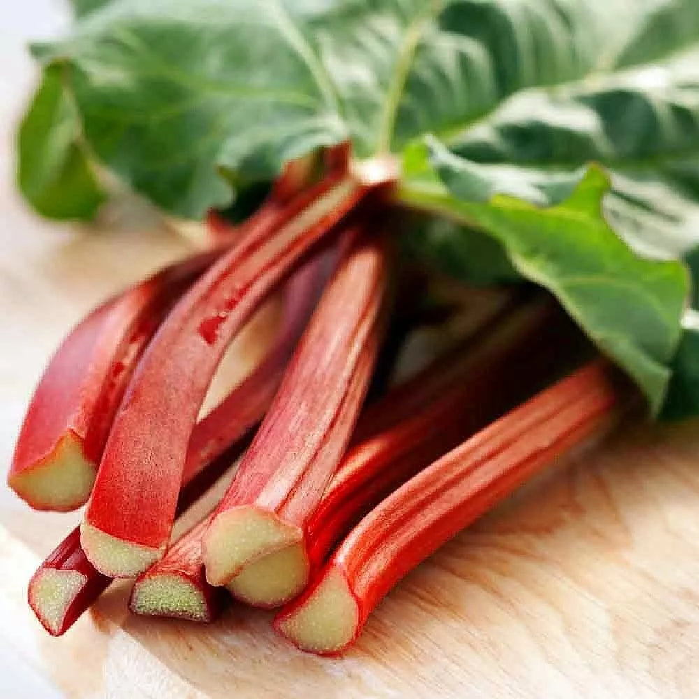 Victoria Red Rhubarb Seeds - 50 Count - Perennial, Easy to Grow, Rich Flavor - Rheum rhabarbarum