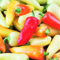 Santa Fe Grande Pepper Seeds - 100+ Count - Mild Yellow Pepper - Capsicum annuum - Ideal for 2025 Planting, 700 Scoville Units