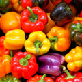 Rainbow Mix Bell Pepper Seeds - Heirloom Red, Green, Orange - Perfect for 2025 Planting - Capsicum annuum