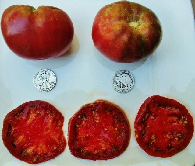 Cherokee Purple Tomato Seeds - 25 Count - Heirloom Variety - Solanum lycopersicum